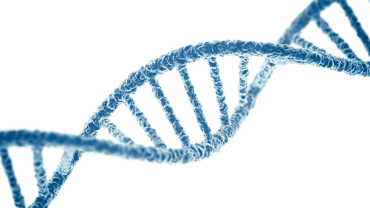 DNA.jpg