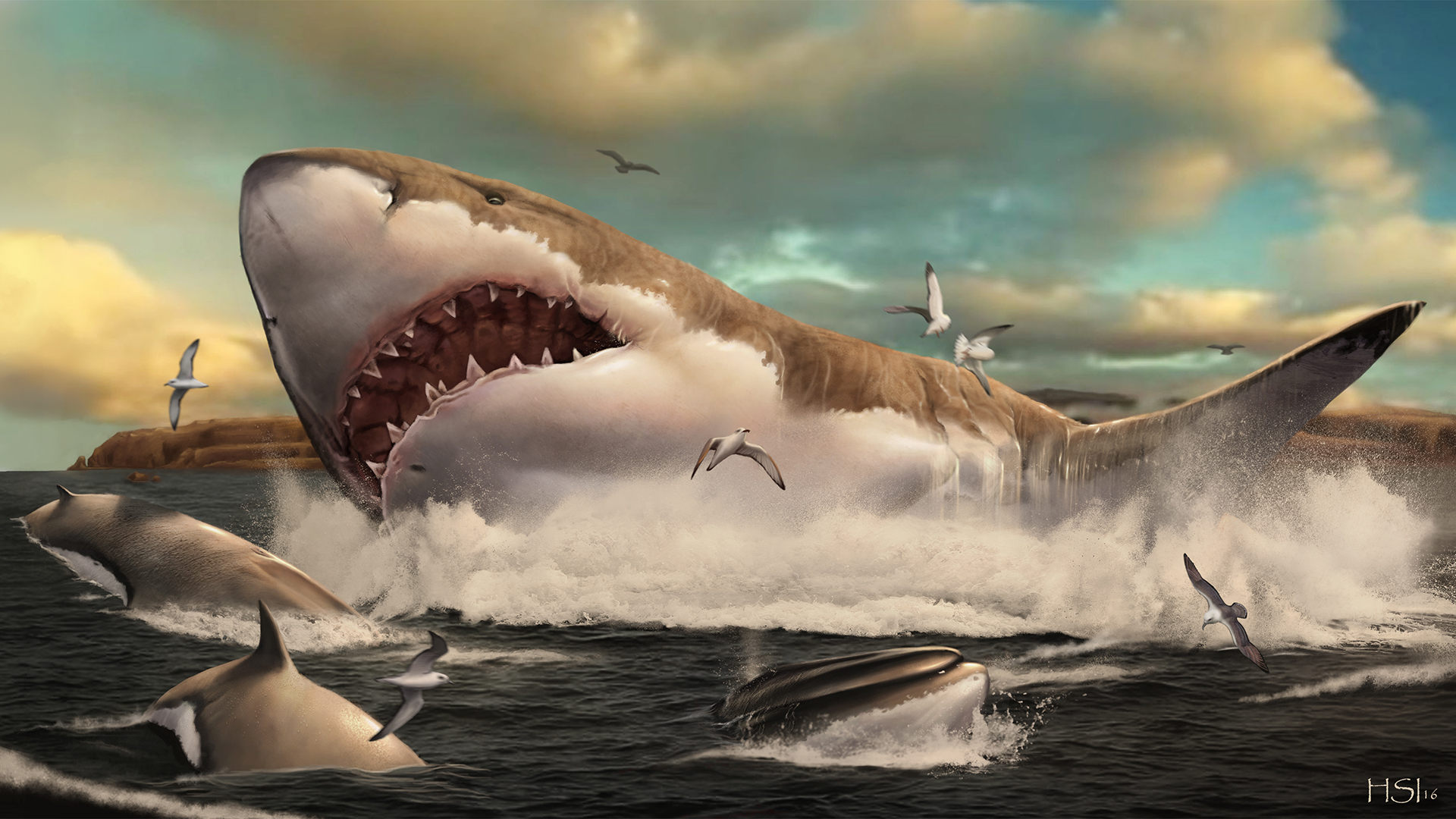 Why Did Megalodon Go Extinct Max s Blogo Saurus why-did-megalodon-go-extinct-max-s-blogo-saurus