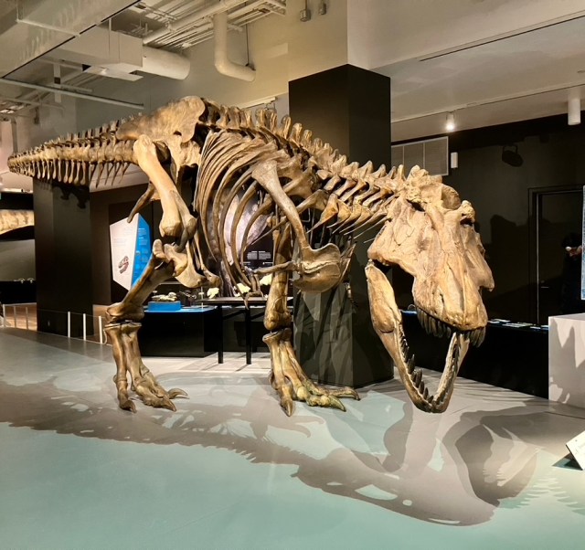 no.198  スノーフレークとTyrannosaurus 34016b10-853a-4d5e-ae56-