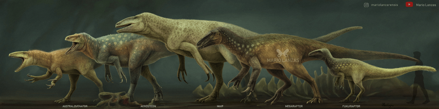 Mega Raptidon The Mystery of Megaraptor & the Megaraptorans – Max's Blogo-Saurus