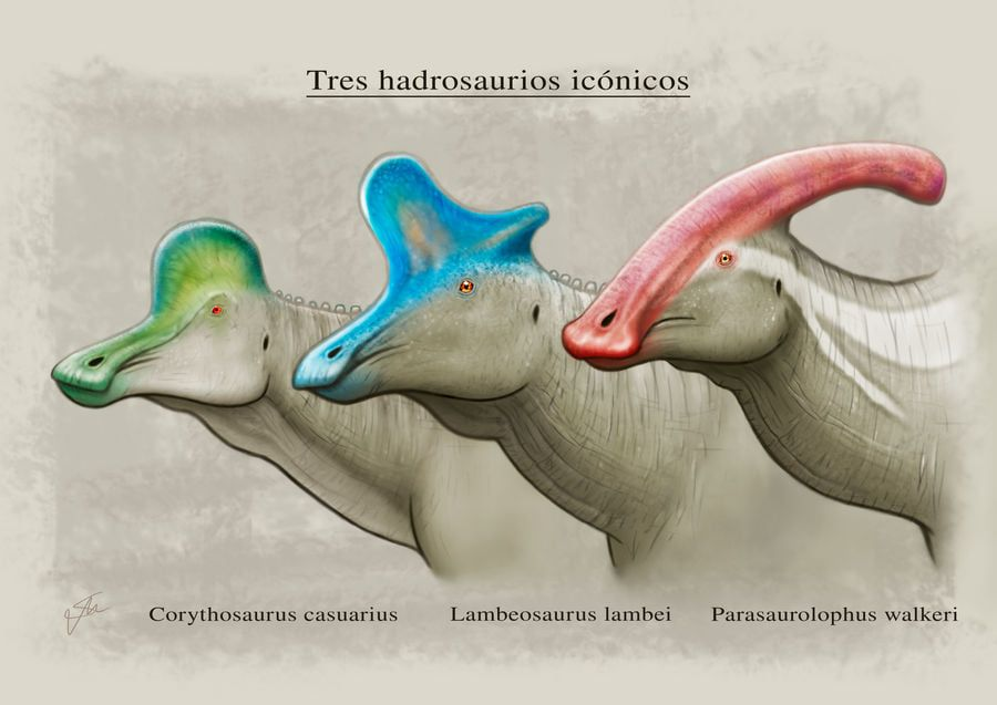 Was Edmontosaurus a Comb-Crested or Flat-Headed Hadrosaur? – Max's ...