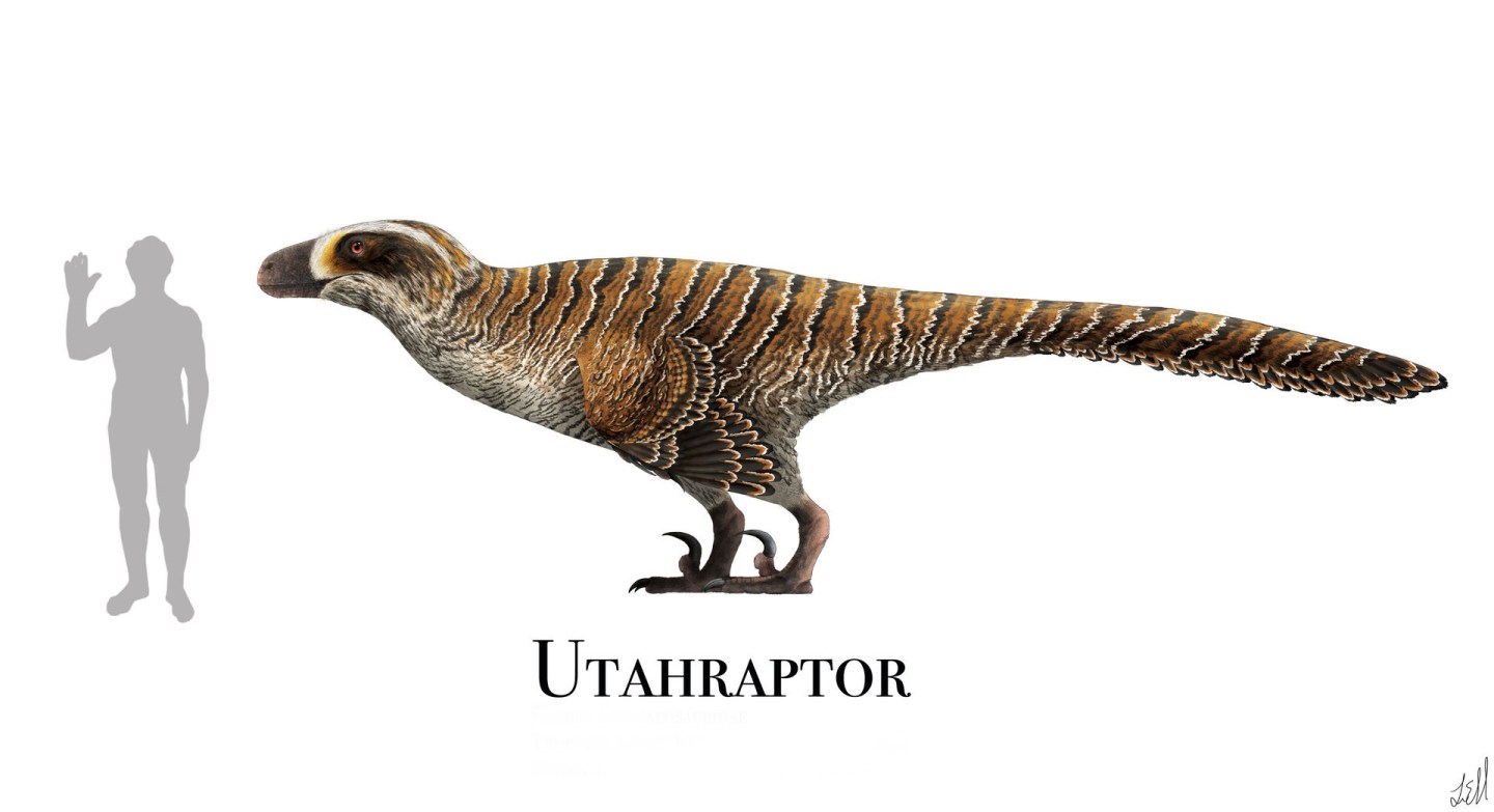 A History of Giant Raptors in the Fossil Record – Max's Blogo-Saurus
